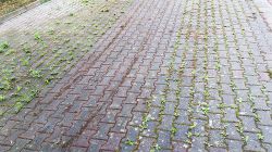 unkrautentfernung-mit-fraesmaschine_3