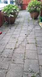 unkrautvernichtung_03_vorher